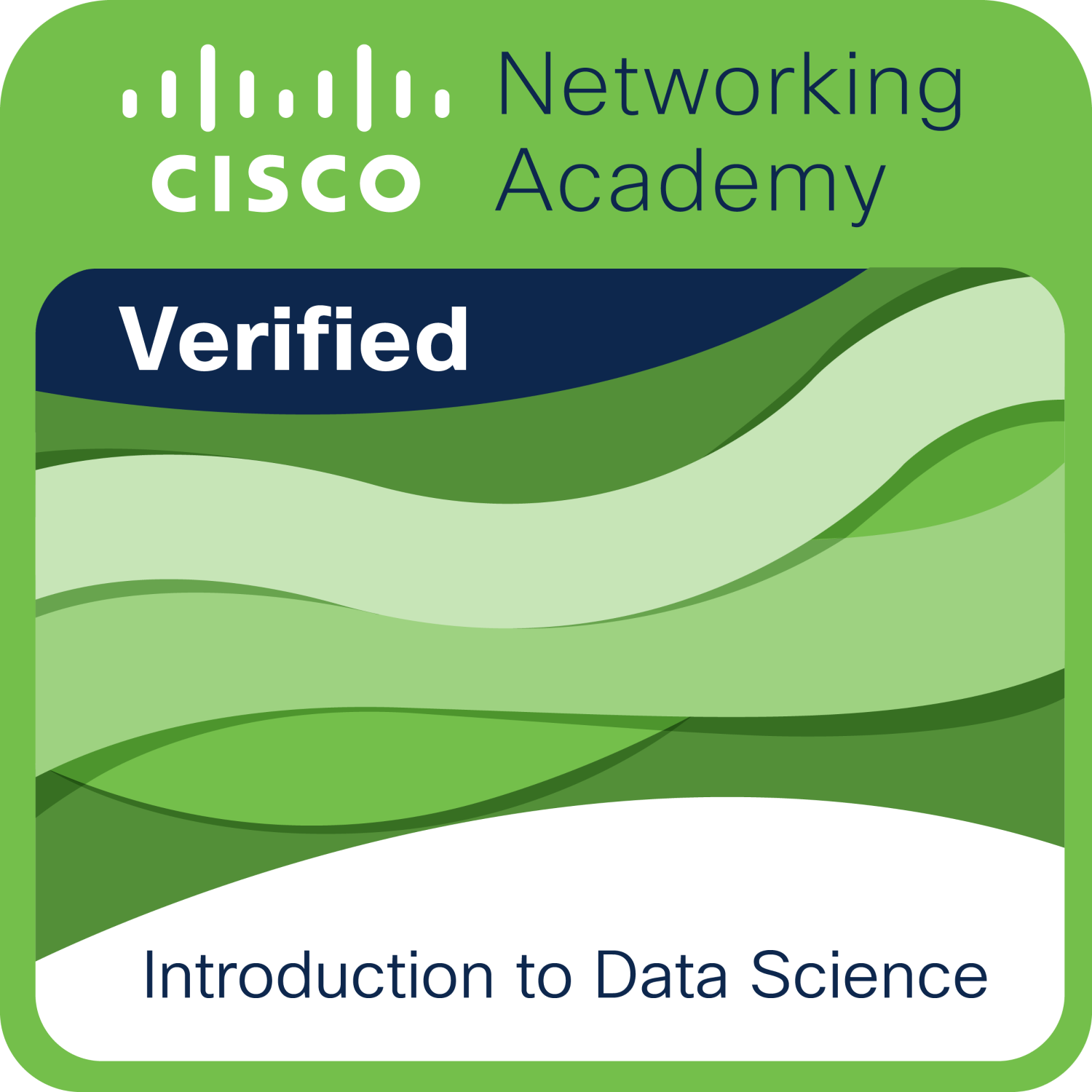 Icon Data Science